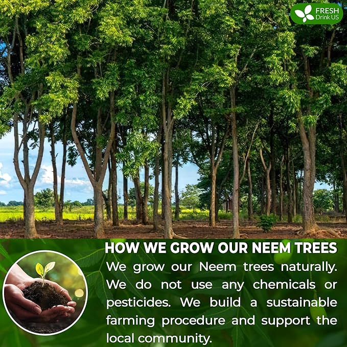 FreshDrinkUS, Premium 33 Neem Leaf Tea Bags, 100% Natural and Pure from Neem - Image 5