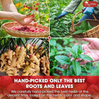 TOG999 Red Raspberry Leaves Tea Bags - Image 6