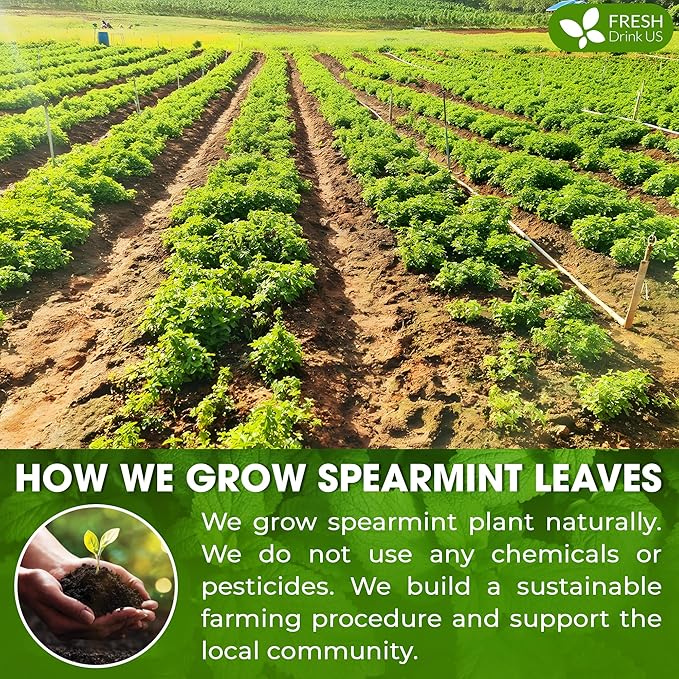 FreshDrinkUS, Premium Spearmint Leaf Powder 8oz – Pure Natural Mint Powder - Image 5