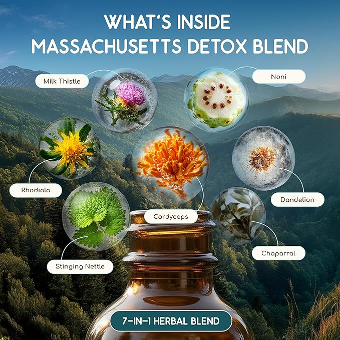 HerbEra Massachusetts Herbal Detox Blend - Image 4