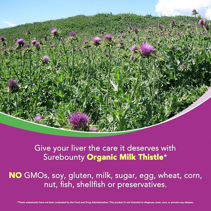 Milk Thistle, 50X Concentrated Seed Extract, 80% Silymarin, Liver Support - Image 7