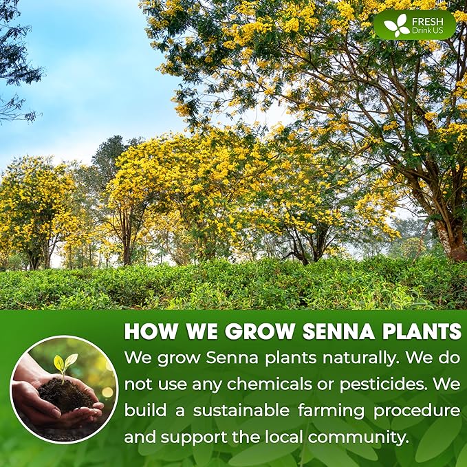 FreshDrinkUS, Premium 16oz Senna Leaf Powder, 100% Natural and Pure from Senna - Image 5