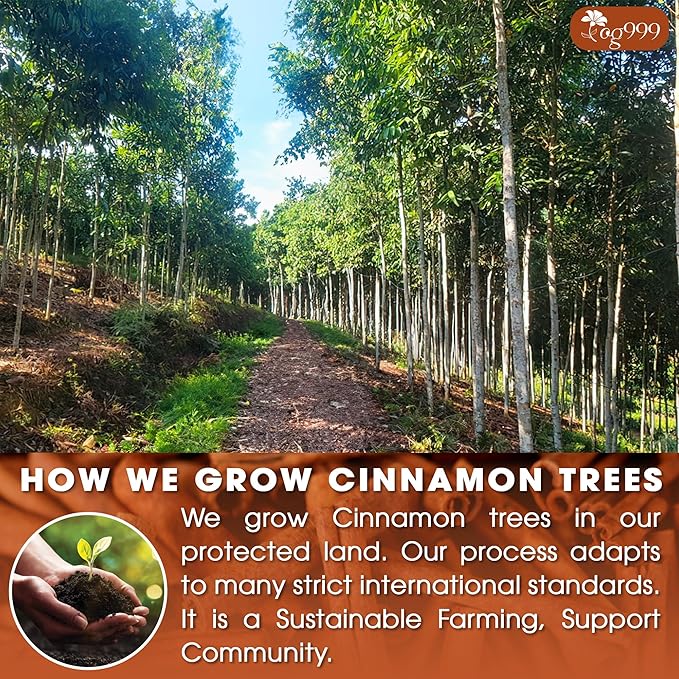 TOG999 Cinnamon Tea, 35 Tea Bags, Pure Ceylon Cinnamon, Natural & Vegan - Image 5