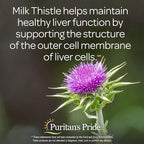 Puritan's Pride Milk Thistle Liver Complex, Supports Healthy Liver Function - Image 4