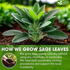 FreshDrinkUS, Sage Leaf Powder 16oz – Premium Culinary Herb, Pure Ground Sage - Image 5