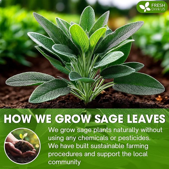 FreshDrinkUS, Sage Leaf Powder 16oz – Premium Culinary Herb, Pure Ground Sage - Image 5