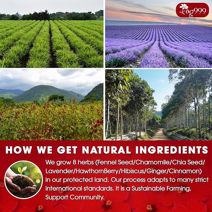 Upgraded Pressure Balance Herbal Tea - Image 5