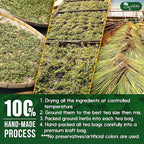 TOG999, Premium Oregano Herbal Tea - Image 7