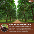 FreshDrinkUS, Premium Cinnamon Powder 8oz – Pure Ground Cinnamon - Image 4