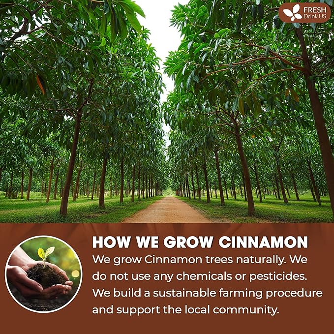 FreshDrinkUS, Premium Cinnamon Powder 8oz – Pure Ground Cinnamon - Image 4